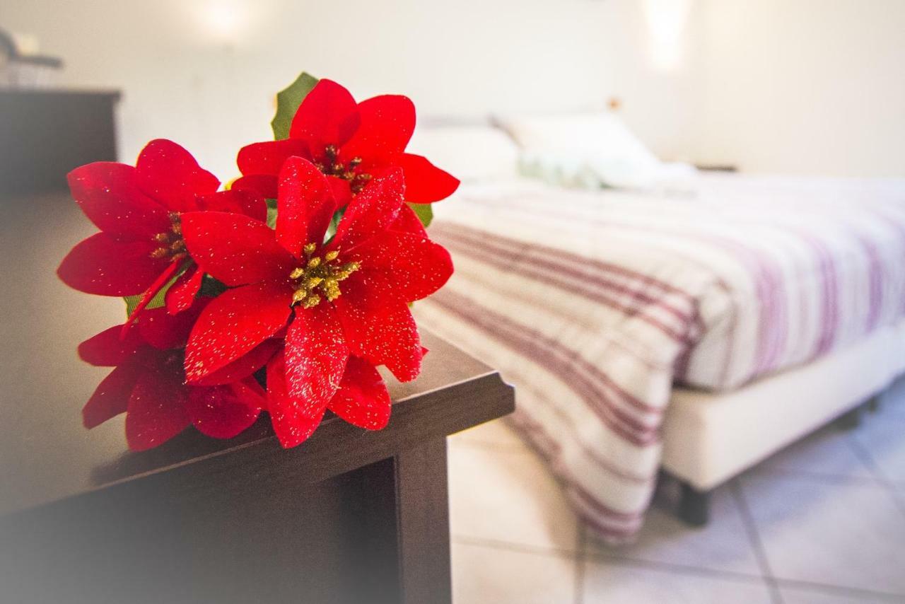 Bed and Breakfast Adria Bella Locazione Turistica Экстерьер фото